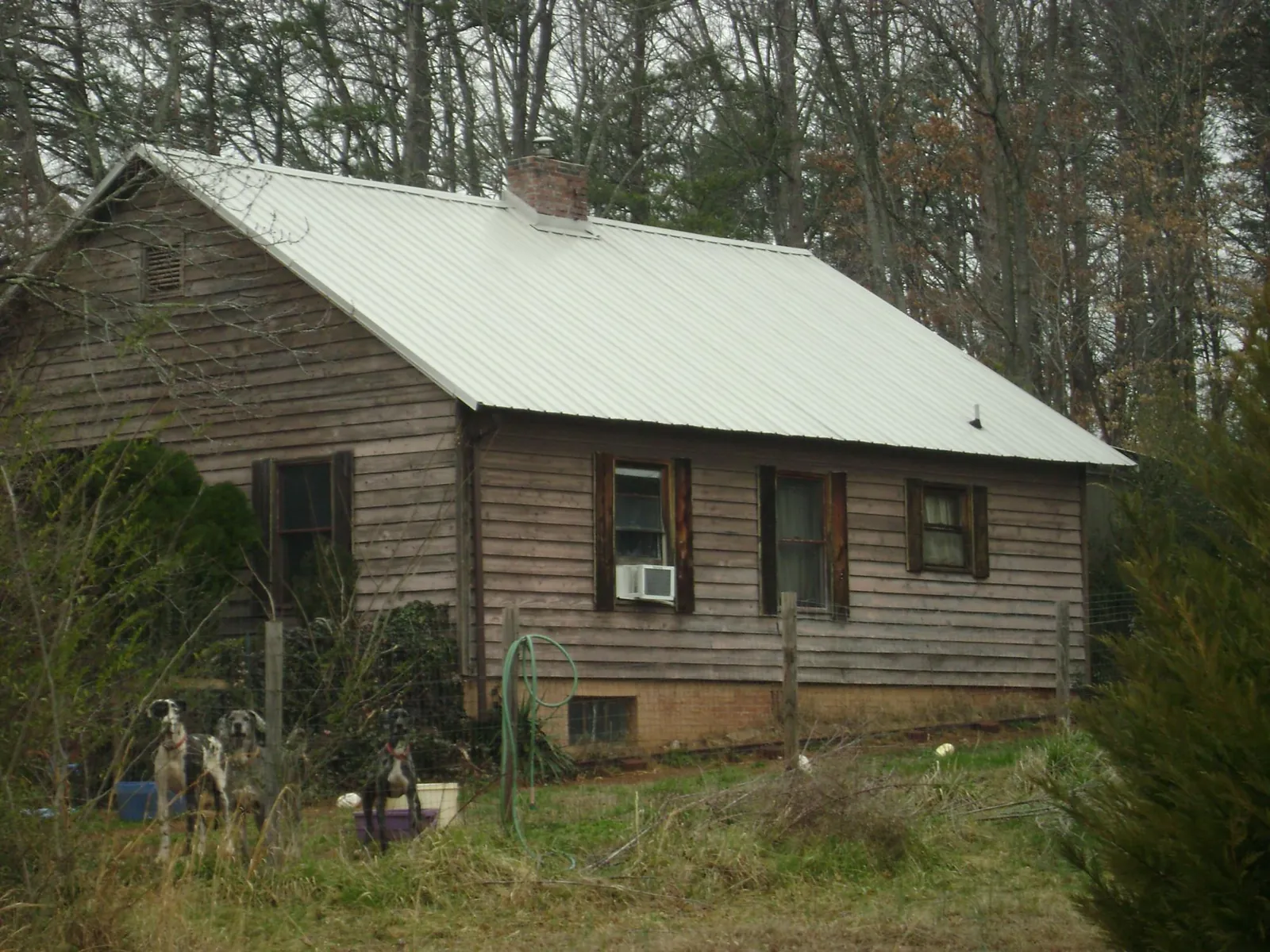 White metal roof on an old wood sided farmhouse, from a Asphalt Shingle Roof Repair job in Lewellen